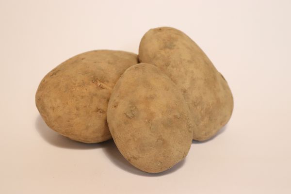 Kartoffeln, mehligkochend